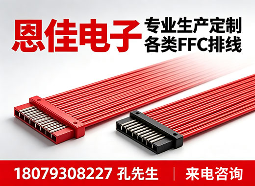 恩佳电子惠州线上分站